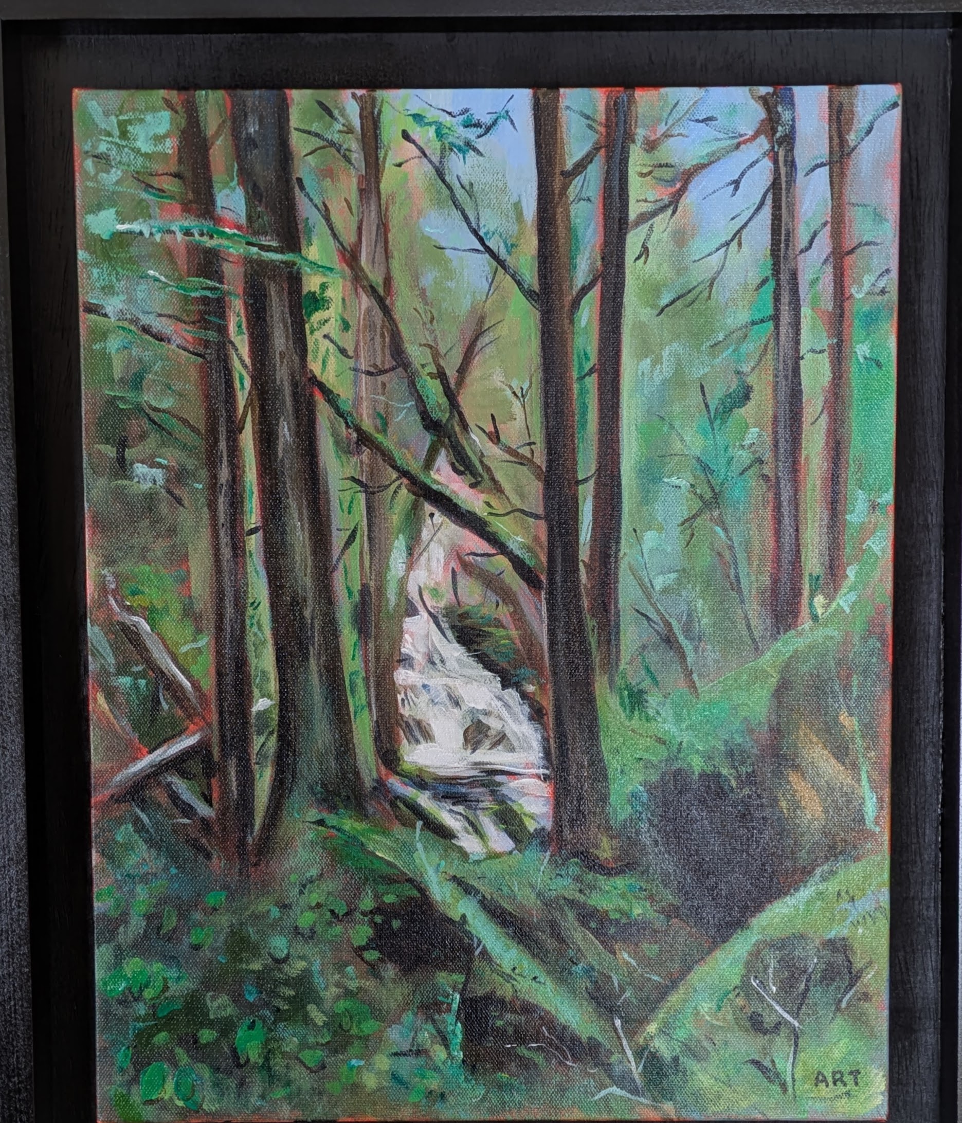 Hummers in the Trumpet Vine