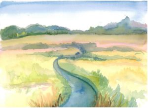 Field and Stream, watercolor by Susan Iozzo