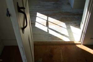 Morning Light_photograph by Dawn Warrington
